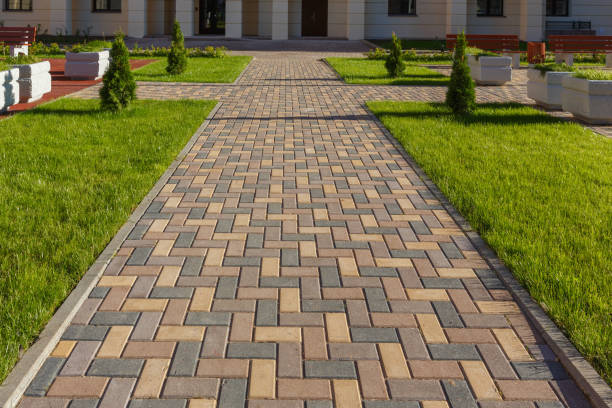 Best Local Driveway Pavers  in Cairo, IL